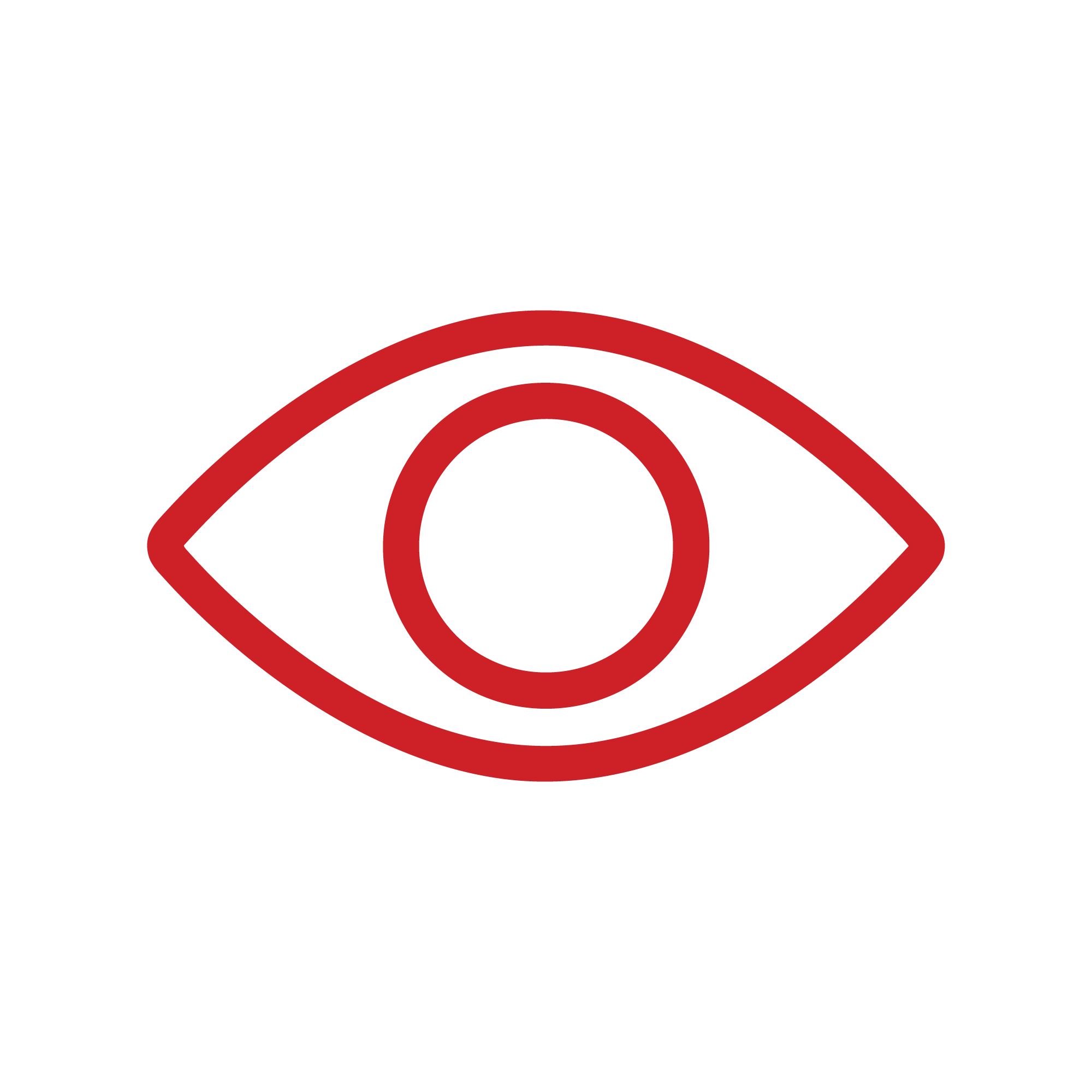 Our Vision